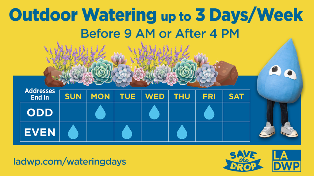 Yellow background with blue colored text that reads Know Your Watering Days. The graphic shows a table with a row that reads Monday - Sunday and a column with Odd and Even and water drop images under certain days. Text reads " Outdoor Watering 3 Days/Week, before 9 a.m. or after 4 p.m.