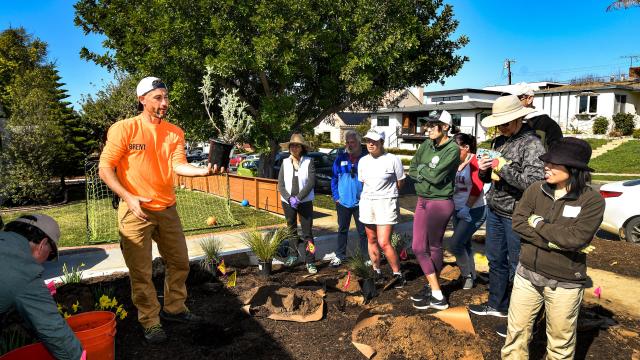 Landscape workshop, instructor holding a drought tolerant shrub, showing to participants.
