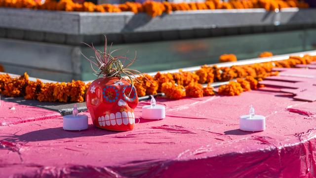 Delanos Day of the Dead Festival Event Image