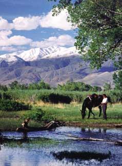 Photo of person with their horse on the side of a stream with snow capped mountains in the background