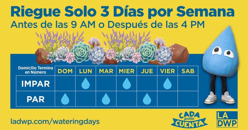 Watering Days Image - Spanish