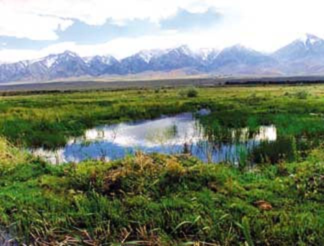 View of wetlands with Eastern Sierra's in the background 