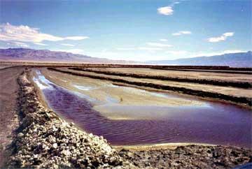 Photo of Owens Lake with water to control dust.