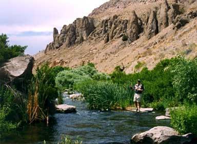 Man fishing at rivers edge, foothills in the background