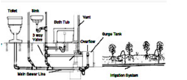 Illustration depicting toilet, sink and bathtub water flowing to irrigation system.