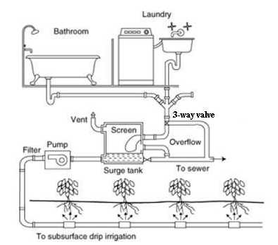 Illustration depicting a simple graywater system.