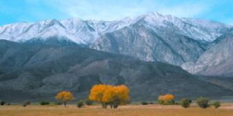 Mt. Tom east of Bishop in the north end of beautiful Owens Valley