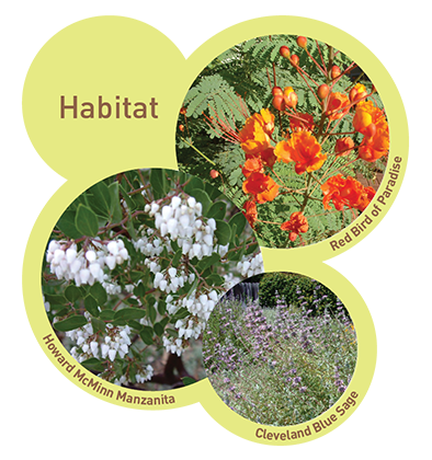 Habitat Plants Image