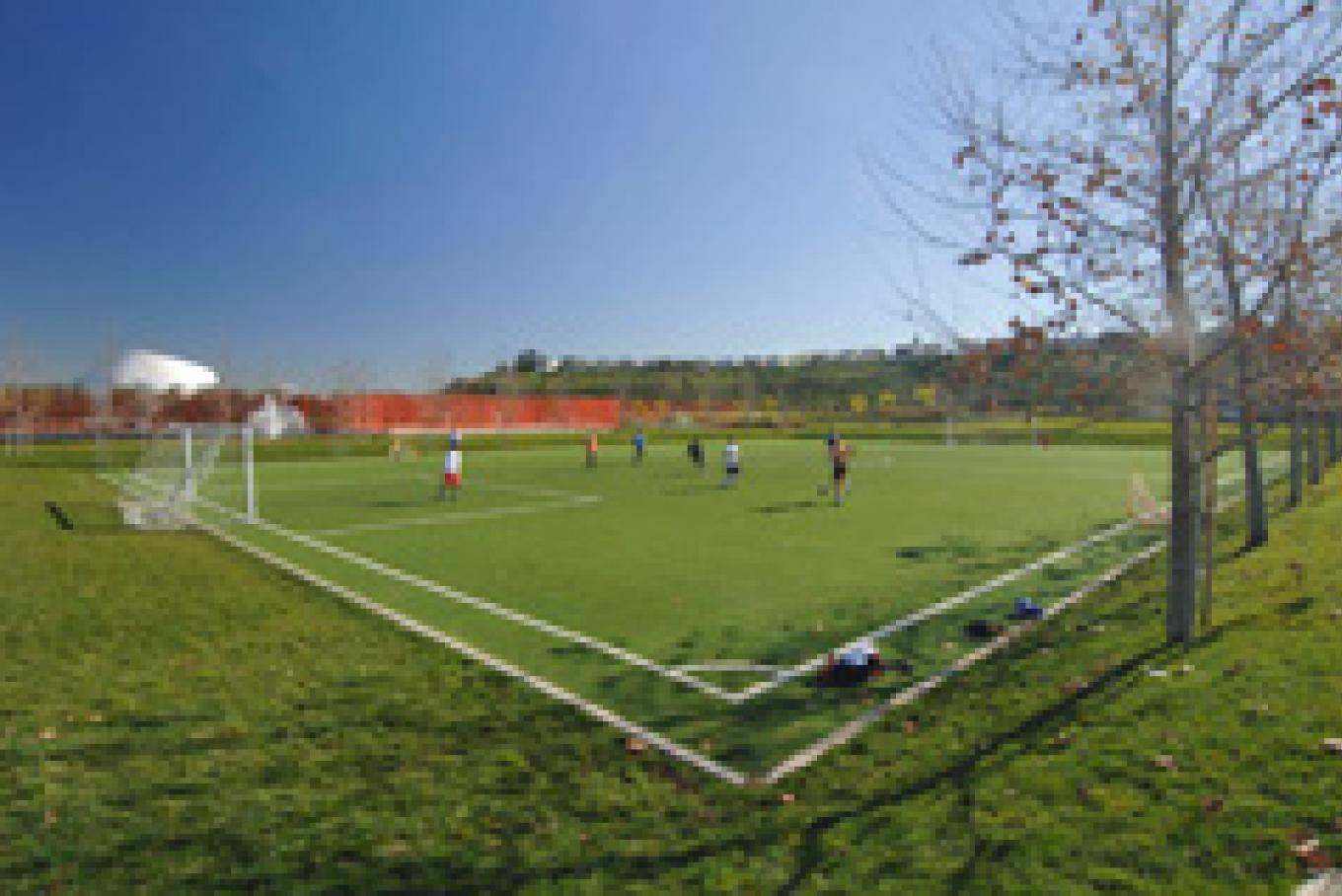 Photo of green soccer field, with clear blue sky during the day.