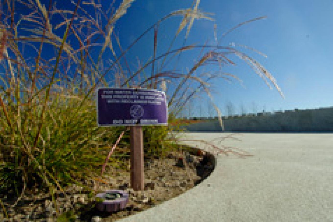 Photo of walk way with Recycled Water Sing at the edge of the green space