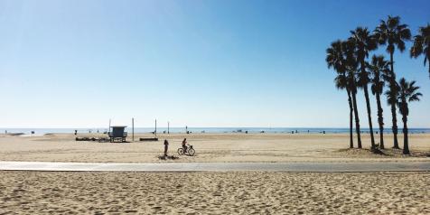 beach with sand and palm trees