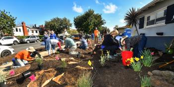 Participants at a landscape training class working in front yard, planting drought tolerant plants