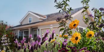 the front yard of a house with drought-tolerant plants
